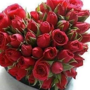 Meet your Posher, Monna